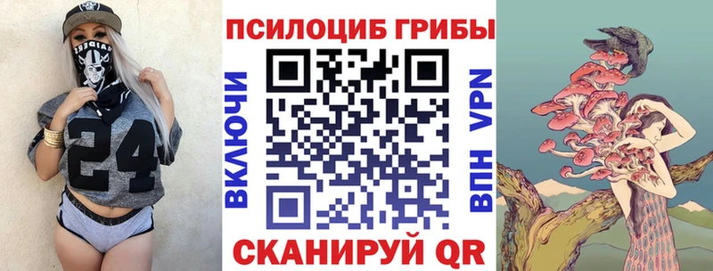 Галлюциногенные грибы Cubensis  это официальный сайт  Чекалин 